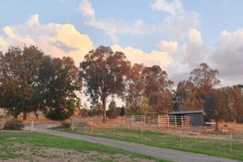Hoof & Hound Country Escape - Lismore Accommodation 3
