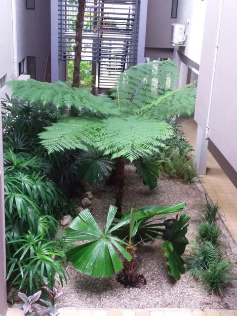 Jackies Studio Apartment - Lismore Accommodation 5