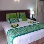 Jackies Studio Apartment - Lismore Accommodation 0