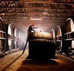 Pieter van Gent Winery  Vineyard - Lismore Accommodation
