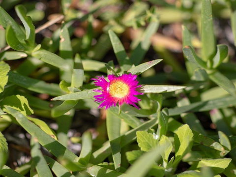 Antonios Paradise Spectacular Views Over Warrain Beach - Lismore Accommodation 5