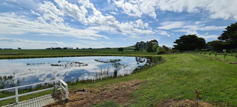 New Horizons Farm Stay - Lismore Accommodation 6