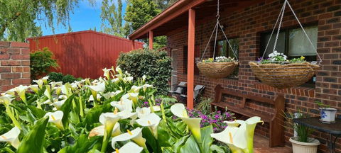 New Horizons Farm Stay - Lismore Accommodation 1