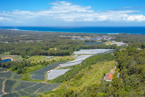 Eagles Loft - Lismore Accommodation 6