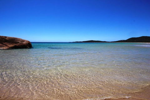 A Reel Teal - Lismore Accommodation 3