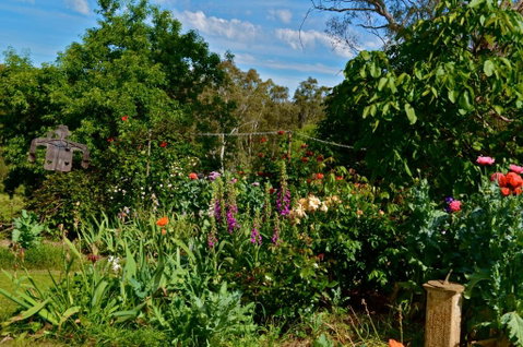 Clyde Cottage - Lismore Accommodation 3