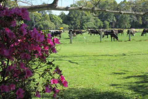 Greenfields - Lismore Accommodation 2