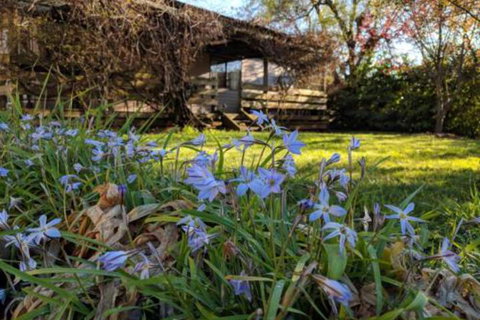 Alexander Cottage - Lismore Accommodation 3