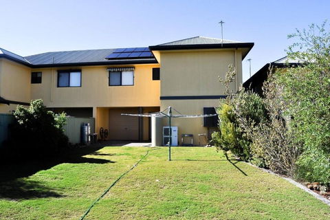 Black Duck - Lismore Accommodation 1