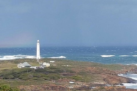 Wisteria Cottage Augusta - Lismore Accommodation 3