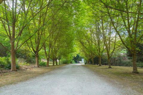 In The Valley - Lismore Accommodation 6