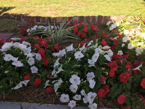 Bryants Motel - Lismore Accommodation 6