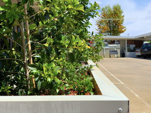 Baths Motel - Lismore Accommodation 0