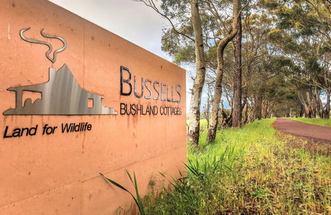 Bussells Bushland Cottages - Lismore Accommodation 4