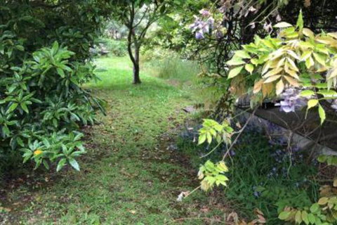 Lorelei Bed & Breakfast - Lismore Accommodation 2