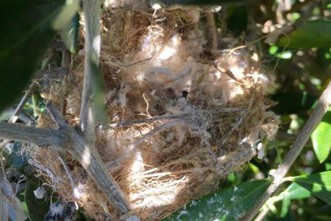 Aggies Bed & Breakfast - Lismore Accommodation 2