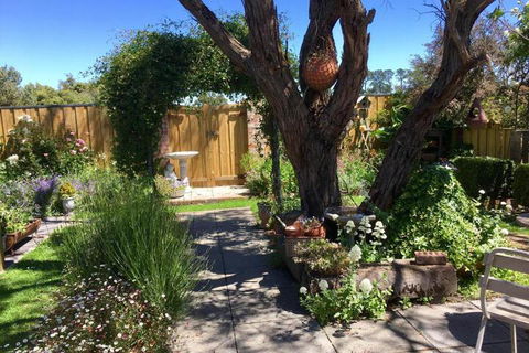 Aggies Bed & Breakfast - Lismore Accommodation 5