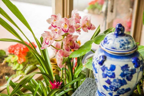 Kempsey Rose Motor Inn - Lismore Accommodation 7