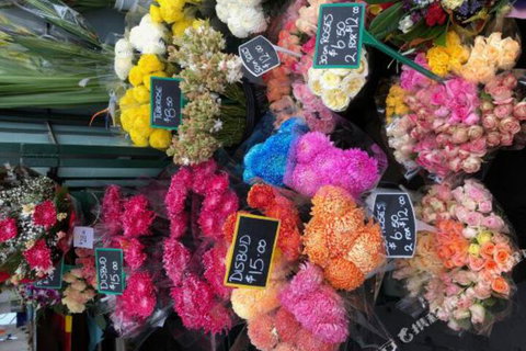 Shenhuang Apartment - Lismore Accommodation 6