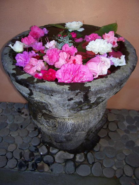 Riveresque - Lismore Accommodation 2