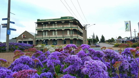 Georgia - Lismore Accommodation 2