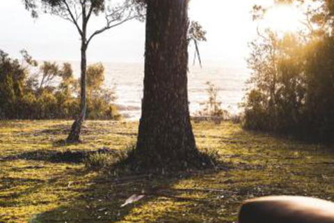 Seagrass On Sunset Bay - Lismore Accommodation 1
