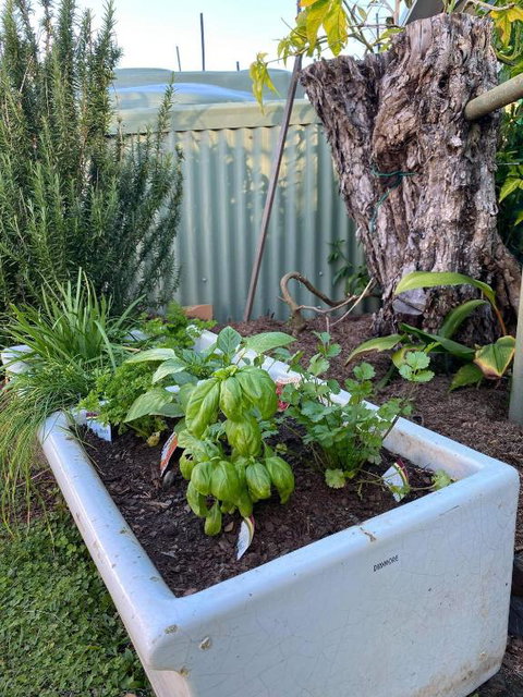 A Drop In The Ocean Kingscliff - Lismore Accommodation 5