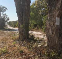 COONARR BEACH  BUNDABERG CAMPING - Lismore Accommodation