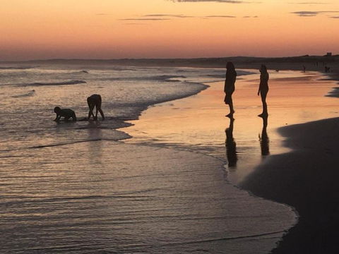 Cromarty Cottage 900m From Birubi Beach - Lismore Accommodation 6