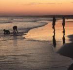 Cromarty Cottage 900m from Birubi Beach - Lismore Accommodation