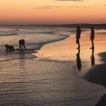 Cromarty Cottage 900m From Birubi Beach - Lismore Accommodation 0