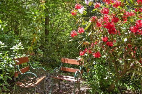 Jalscene - Lismore Accommodation 5