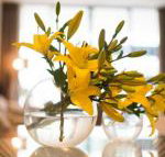 KUI Manhattan Apartments - Lismore Accommodation
