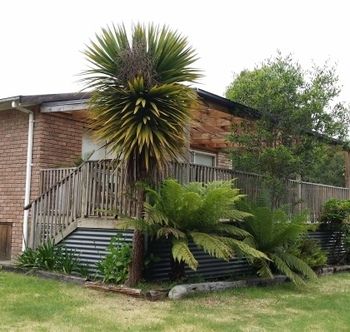 Strahan Holidays - Lismore Accommodation 4
