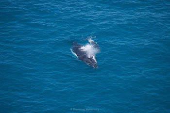 Apartments Located At Blue Seas Resort - Lismore Accommodation 3