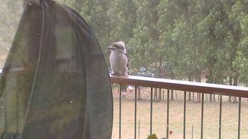 Deloraine Comfort - Lismore Accommodation 2