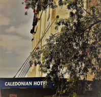 Caledonian Hotel - Lismore Accommodation