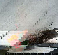 TT1111 Split Level Harbour Views - Lismore Accommodation