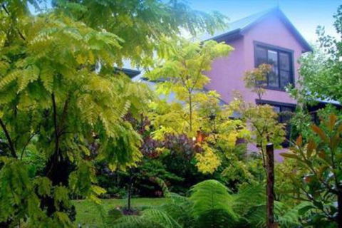 Black Cockatoo Retreat - Lismore Accommodation 4