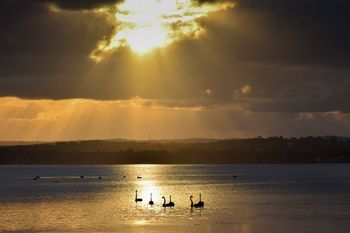 Diamond Lake House - Lismore Accommodation 4