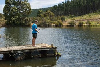 Nannup Valley Chalets - Lismore Accommodation 1