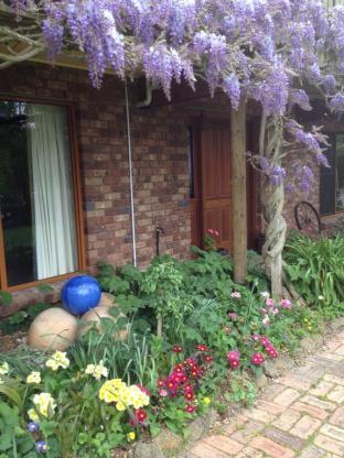 Wisteria Lodge - Lismore Accommodation 4
