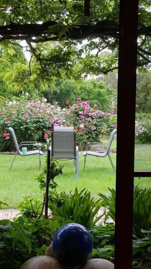 Wisteria Lodge - Lismore Accommodation 5