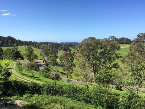 The Bryn At Tilba Family Cottage - Lismore Accommodation 0