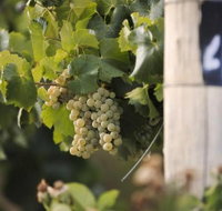 Ingenia Holidays Mudgee Valley - Lismore Accommodation