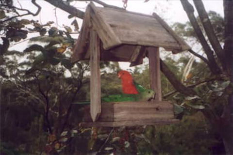 Arcadia Cottage - Lismore Accommodation 2