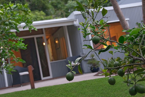 Gecko Shed - Lismore Accommodation 6