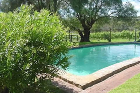 Mt Bold Estate - Lismore Accommodation 3