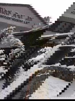 Black Bear Inn - Lismore Accommodation 2