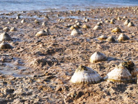 Port Lincoln Holiday Apartments - Lismore Accommodation 5